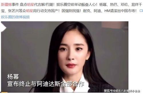 新疆明星爆料视频最新,揭秘幕后故事与真实情感